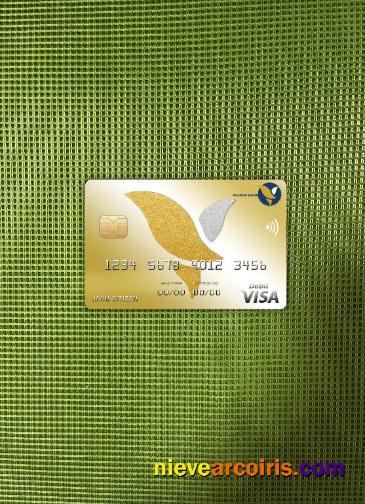 Cambodia Acleda bank visa card photolook